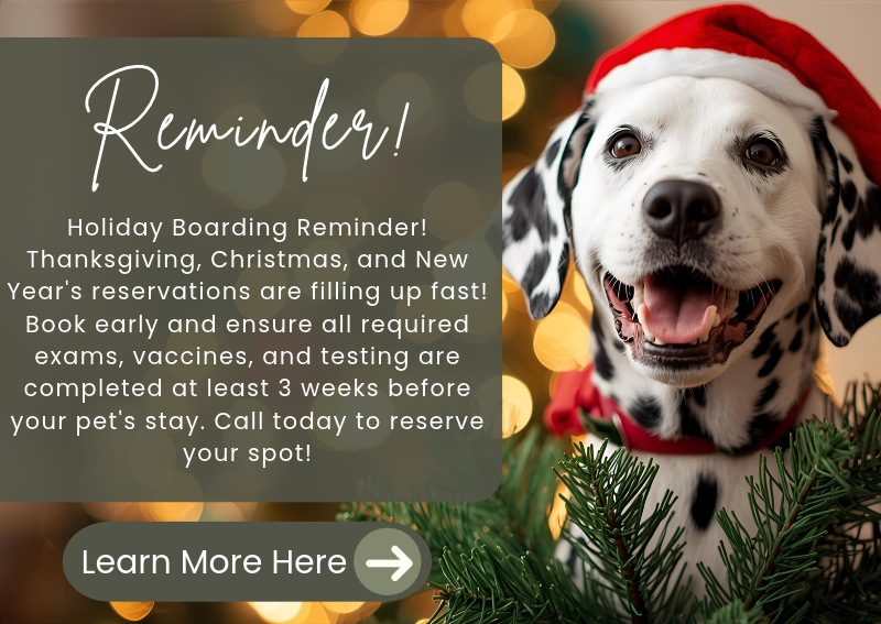 Carousel Slide 1: Learn more here>>